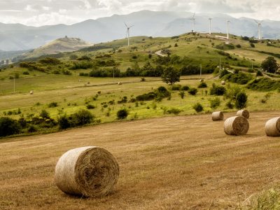 Paesaggio rurale della Basilicata - Foto Massimo Vicinanza